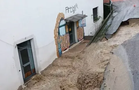 grimaldi-invisibilita-fisica-culturale-torrente